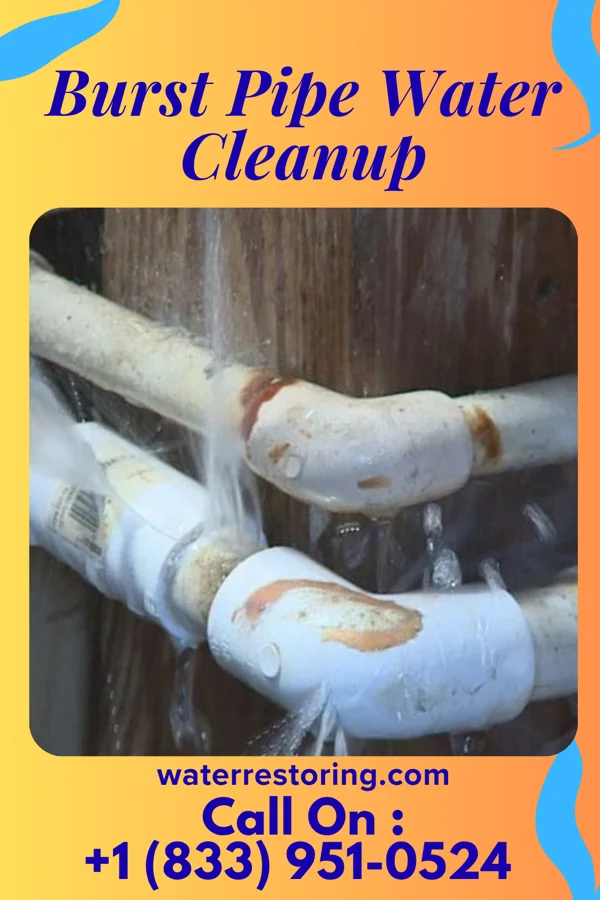 Burst Pipe Water Cleanup in Chester Center, CT