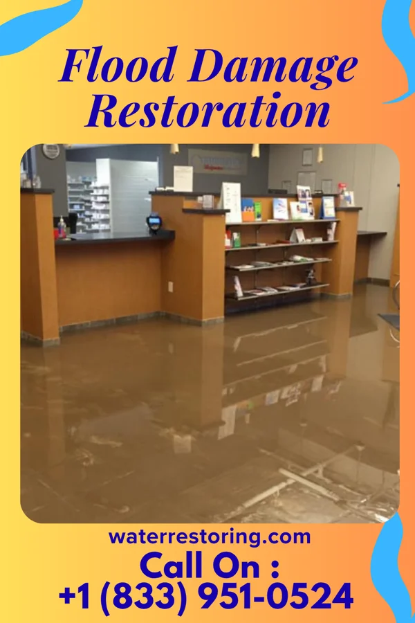 Flood Damage Restoration in Chester Center, CT