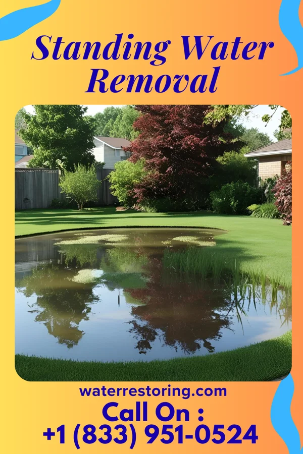 Standing Water Removal in Chester Center, CT